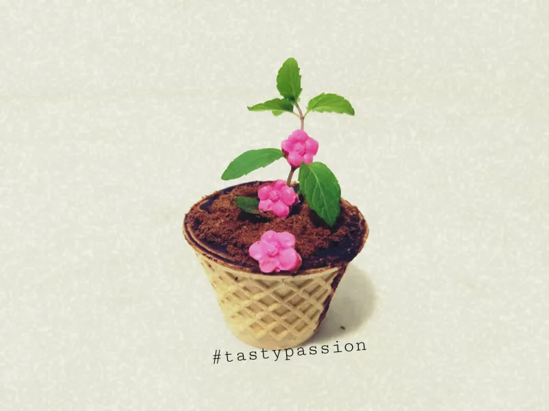 Edible Flower Pot