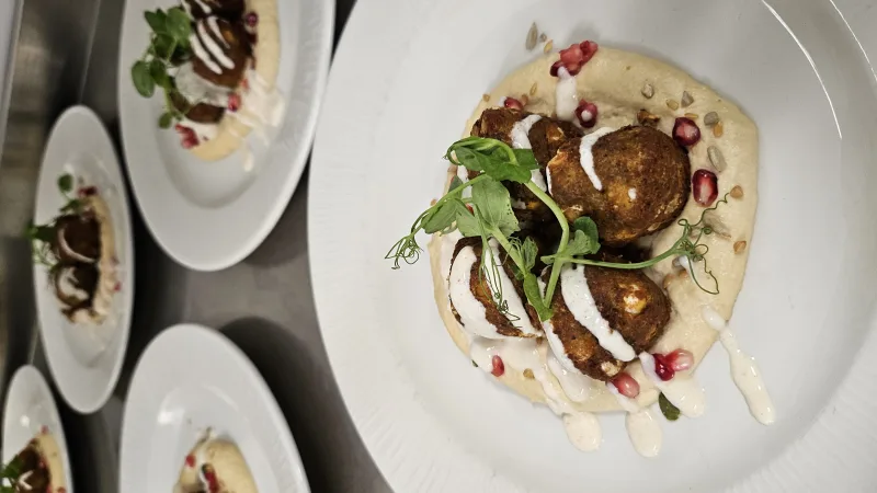 Falafel, Classic hummus, Cumin yogurt, Pomegranate seeds, Pea shoot